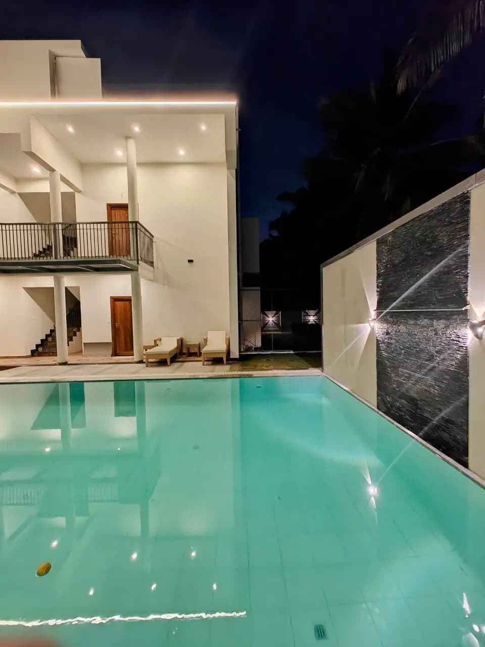 Palms & Paradise — Gallery