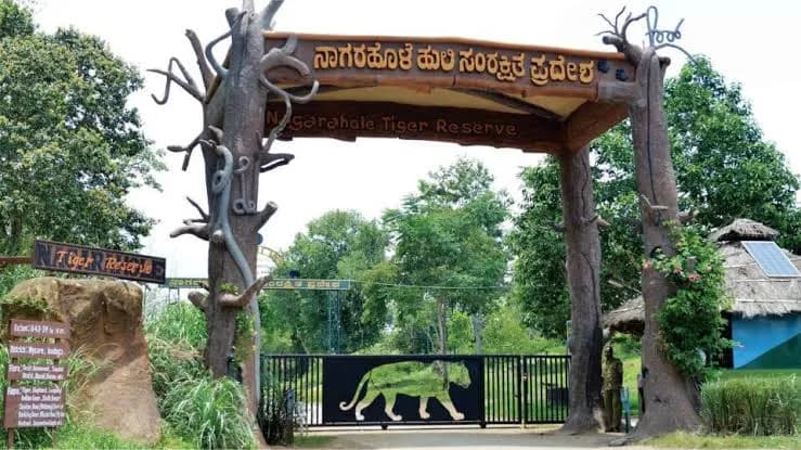 Nagarhole Wildlife