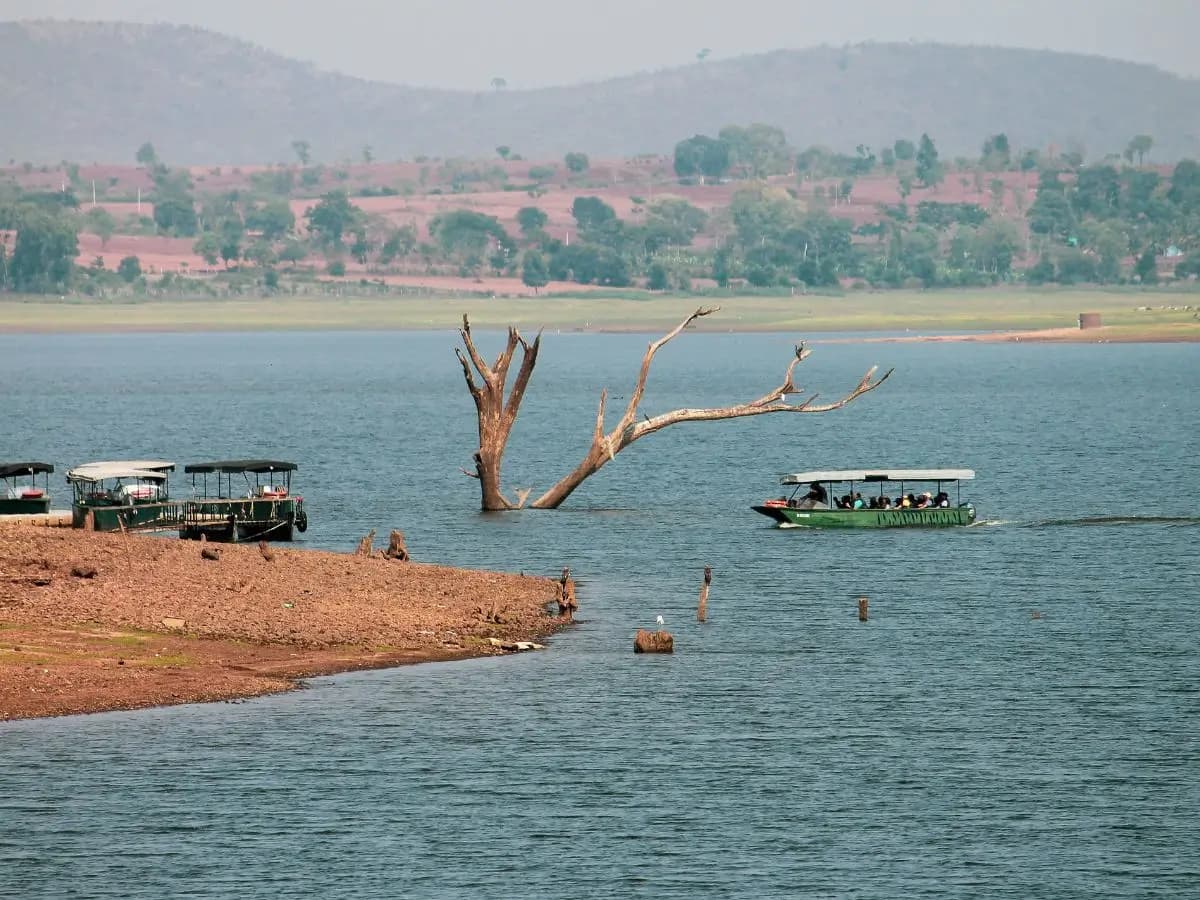 Kabini Wildlife Experience: Where to Stay, Best Time & What to Expect