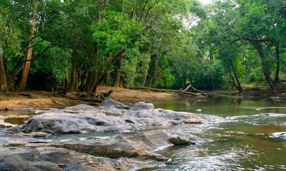 Kuruwadeep