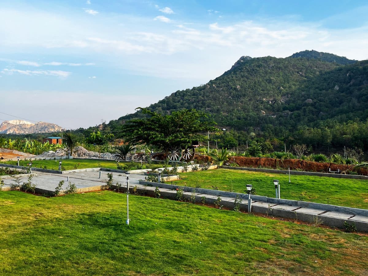 Mountain Mist by Tripture — Gallery