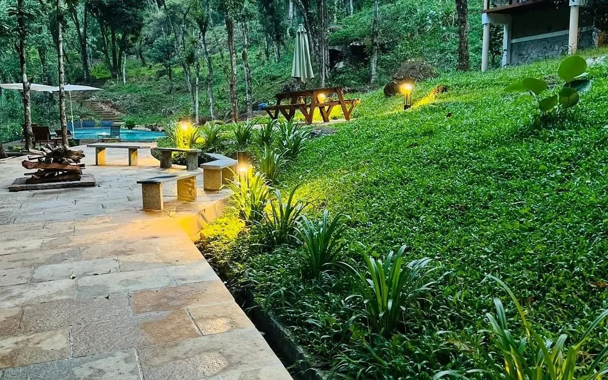 Echoes of Jungle — home_detail