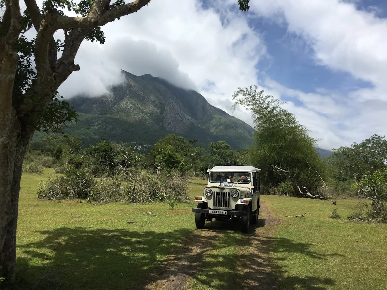 Mudumalai Tiger Reserve