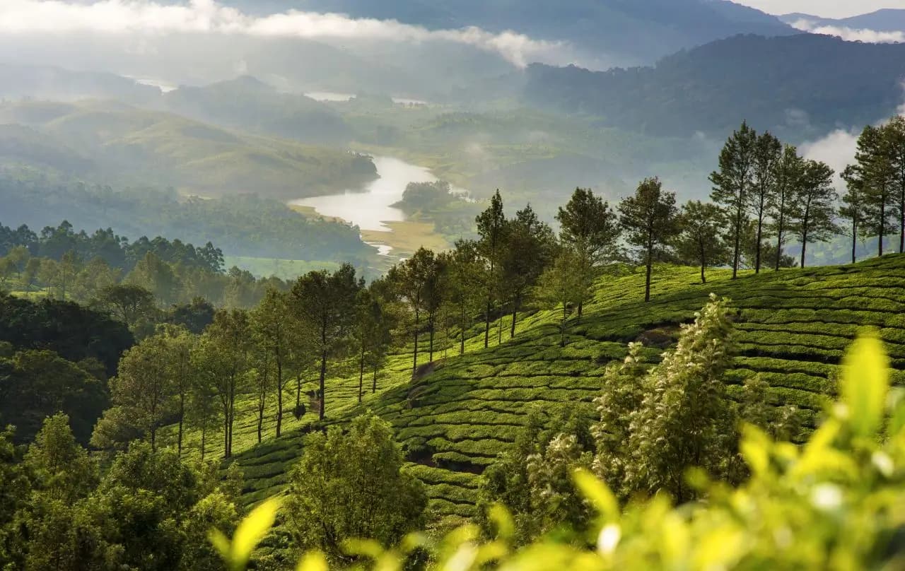 Eravikulam National Park